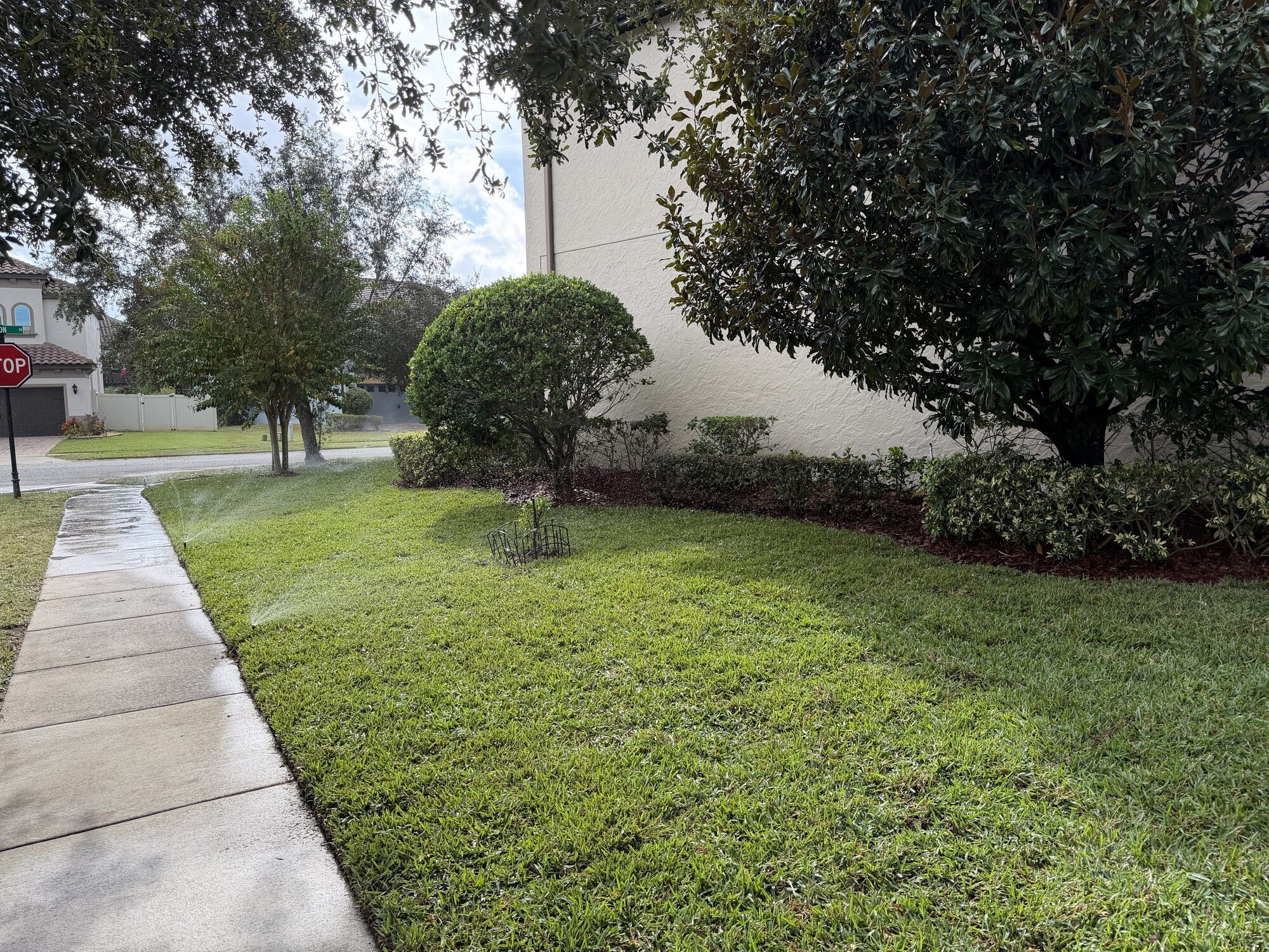 Sprinkler heads watering a newly landscaped front yard