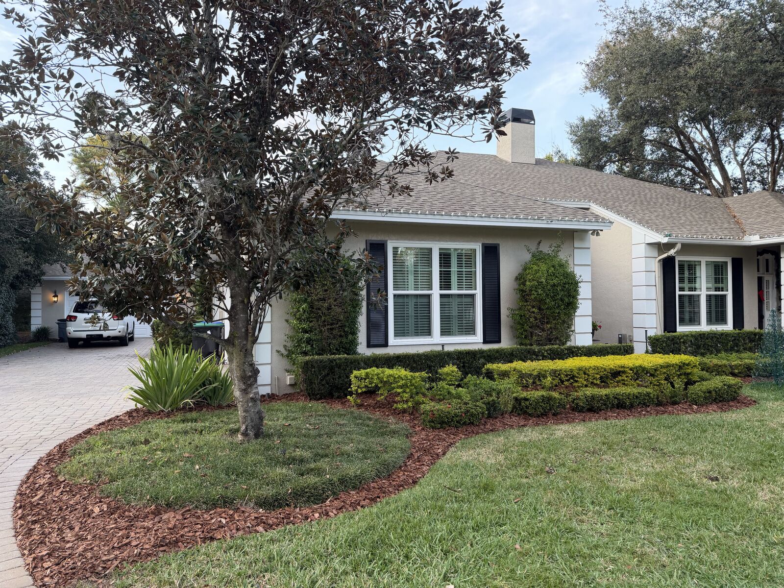 Mulch ring and hedges around a tree beside a paver driveway