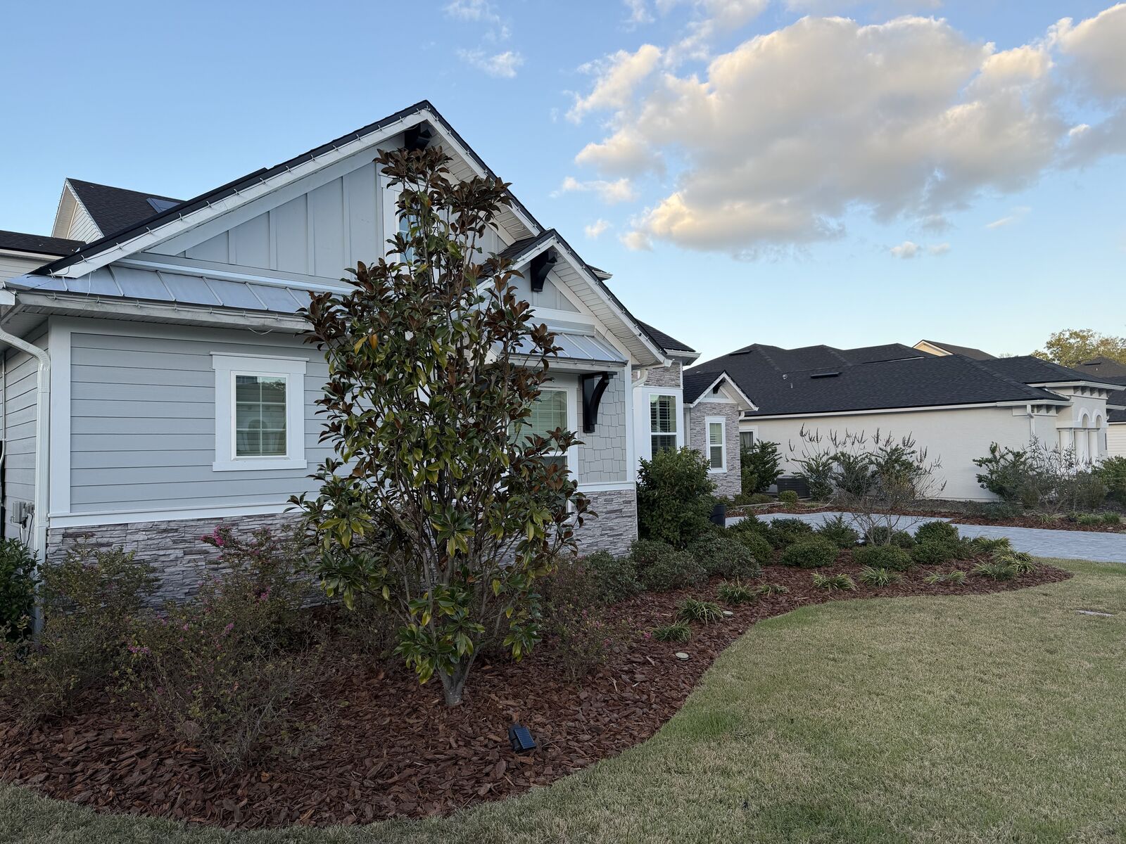 Mulch bed with a magnolia and shrubs along the front of a home
