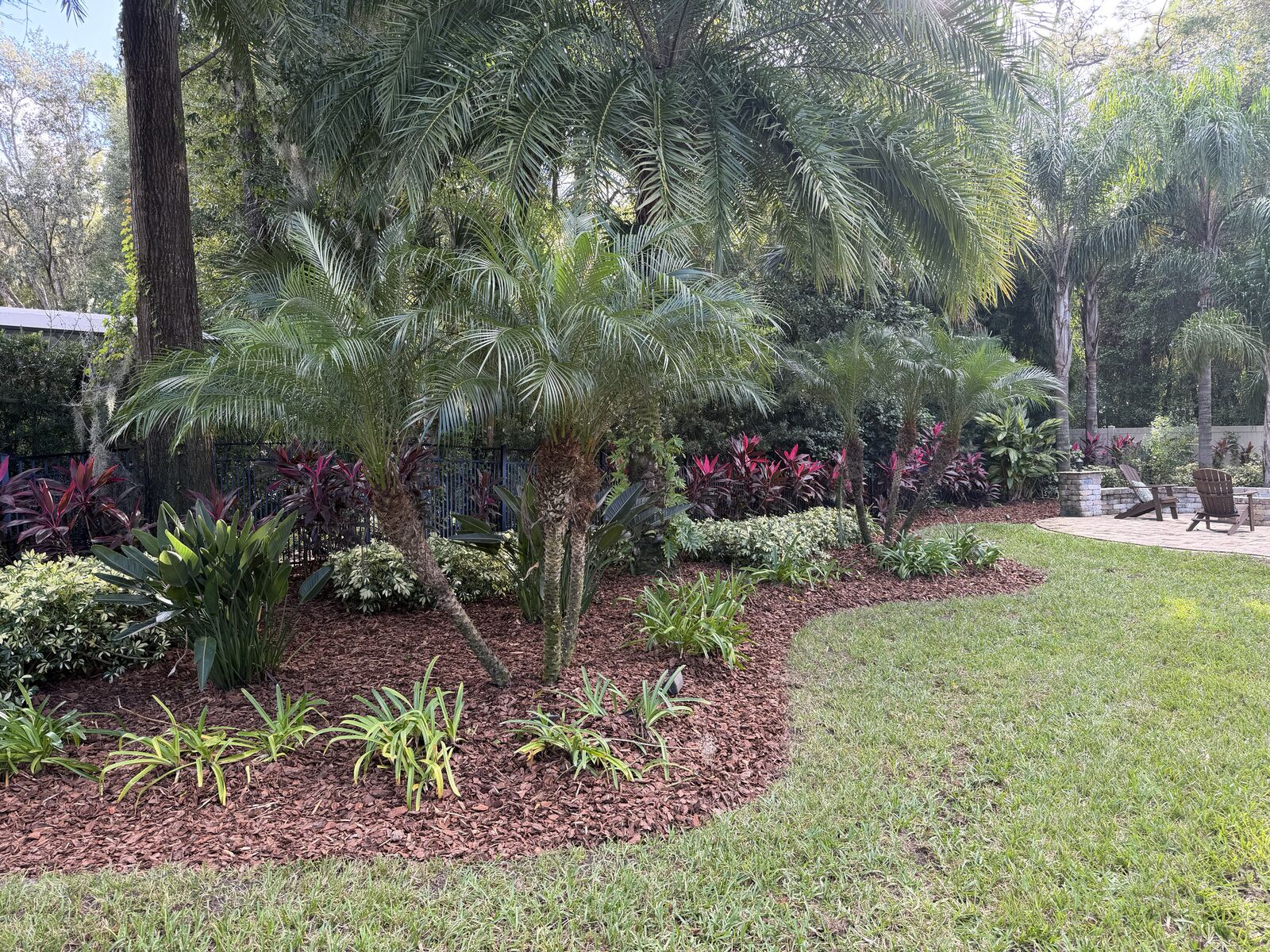 Curved mulch bed with palms and colorful plants beside a lawn