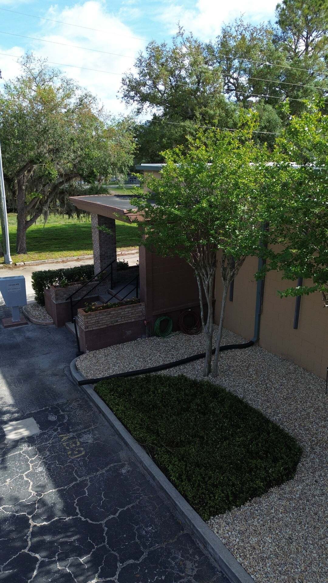 Rock landscaping bed with newly planted crepe myrtle trees at a commercial building