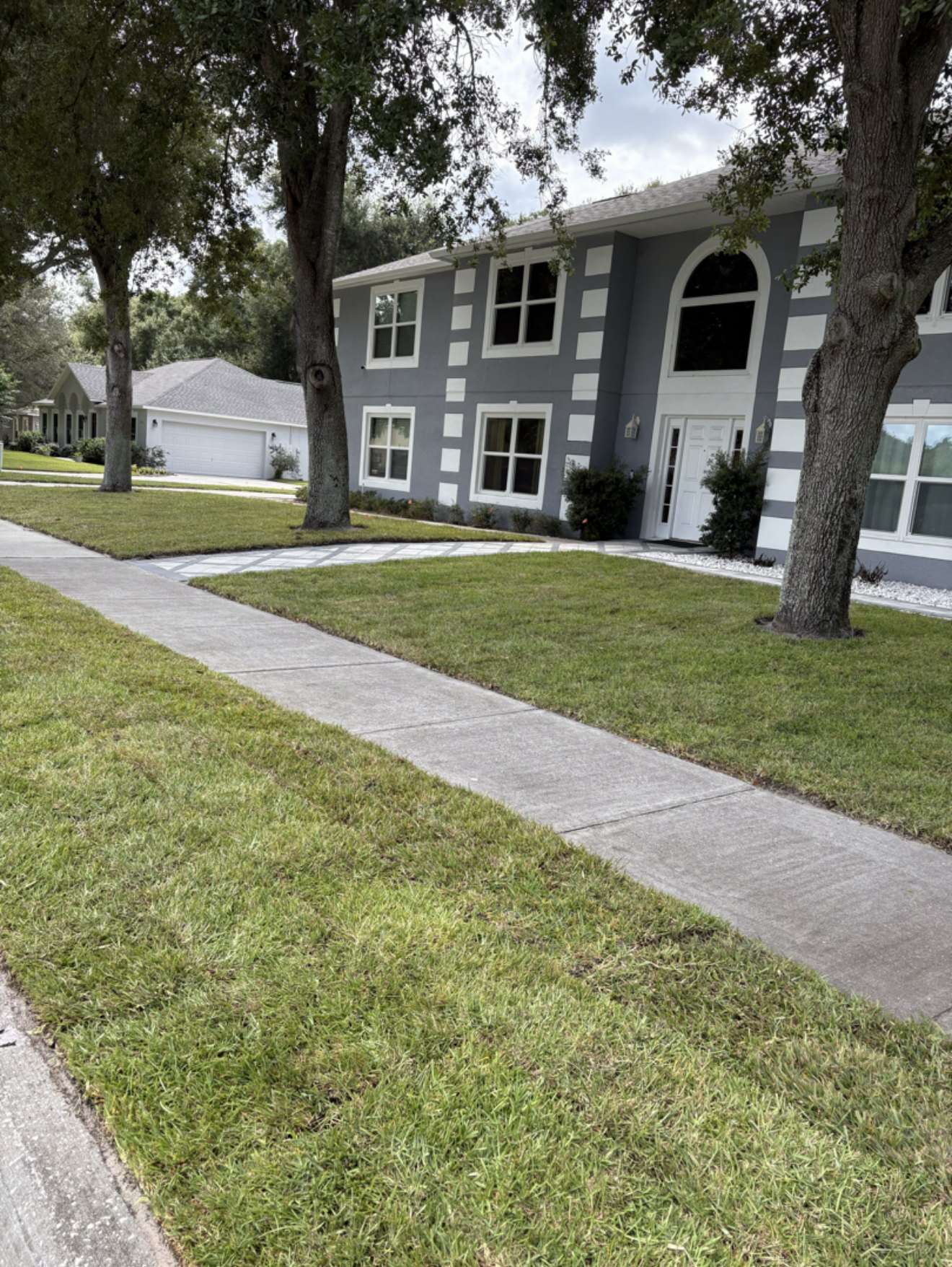 Finished St. Augustine sod lawn along a sidewalk in front of a two story gray home