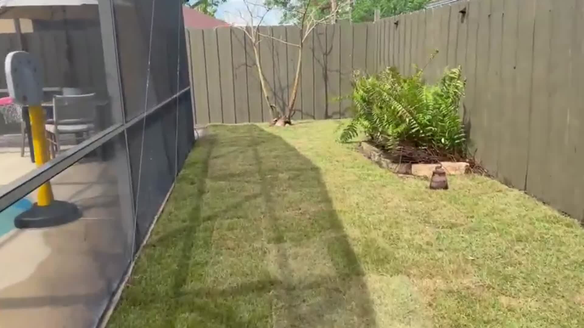 Fresh sod strip and a new planting bed along a backyard fence